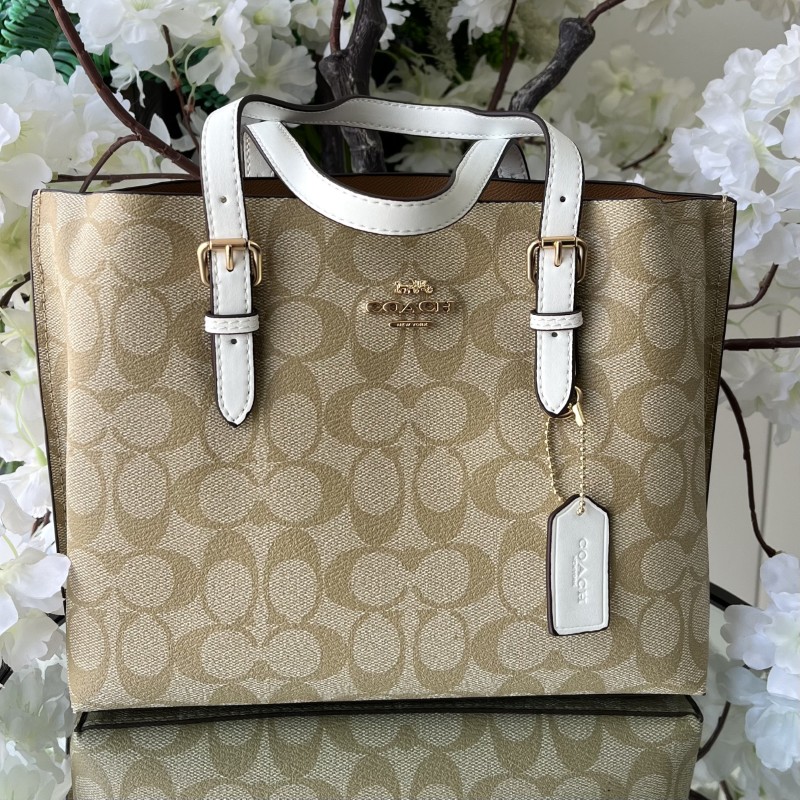 COACH-106